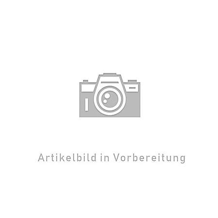 Das Buch der Sprichwörter. Ein Kommentar.